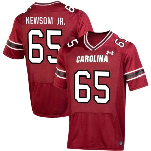 Mens Rodney Newsom Jr. Garnet South Carolina Gamecocks #65 College Football 2025-26 Jerseys 172812-151