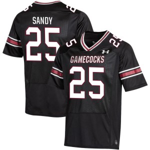 Mens Zahbari Sandy Black South Carolina Gamecocks #25 College Football 2025 Jersey 262108-834