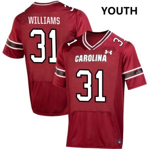 Youth Peyton Williams Garnet South Carolina Gamecocks #31 College Football Replica Jerseys 893526-528