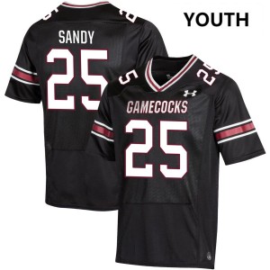 Youth Zahbari Sandy Black South Carolina Gamecocks #25 College Football High School Jerseys 337699-528