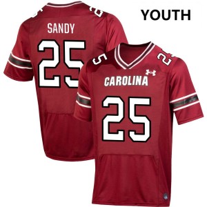 Youth Zahbari Sandy Garnet South Carolina Gamecocks #25 College Football 2025-26 Jersey 172215-751